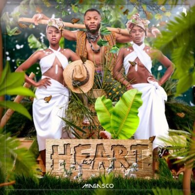 heart Albun